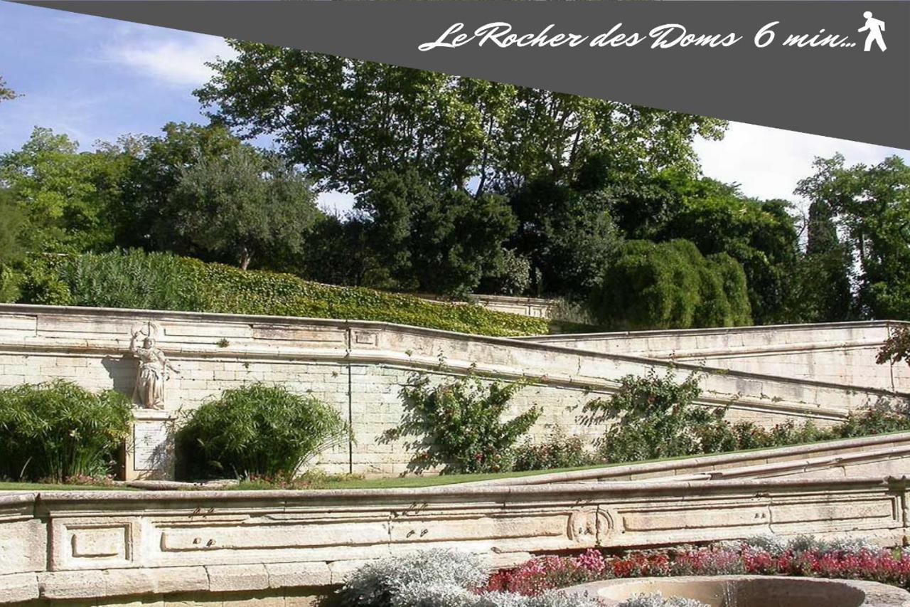 Le Chapeau Rouge Au Coeur Du Centre Historique Avignon Eksteriør bilde